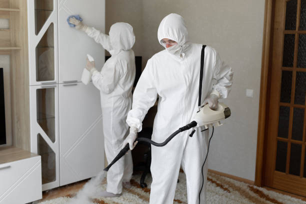 24/7 Emergency Odor Removal experts in Weaverville, CA