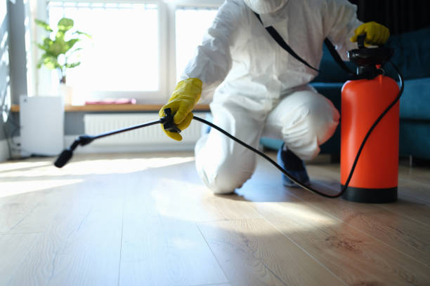 Reliable Odor Removal contractor in Weaverville, CA by Trauma Clean Pros